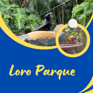 Loro Parque Tenerife